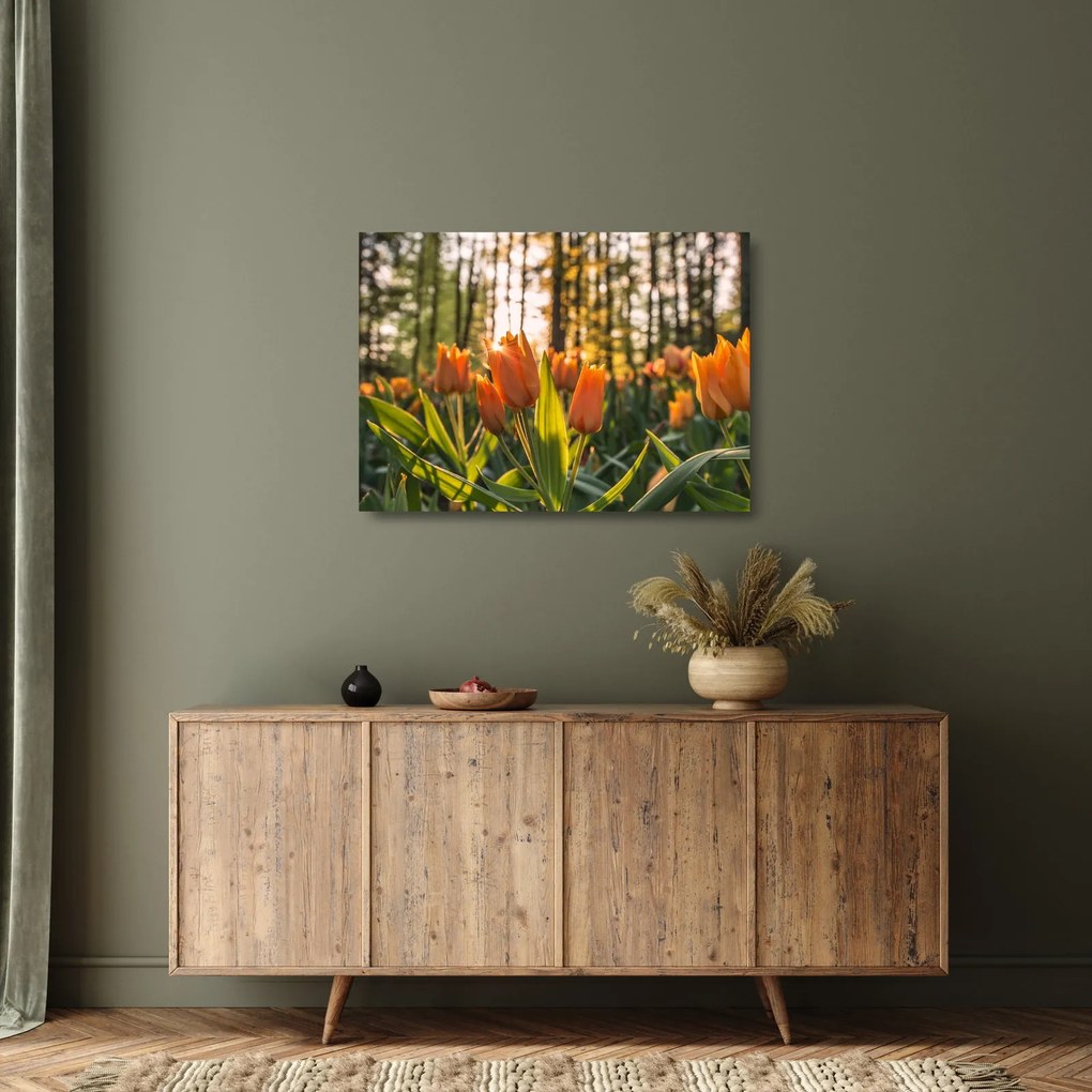 Obraz na szkle - kwiaty tulipanów (70x50 cm)
