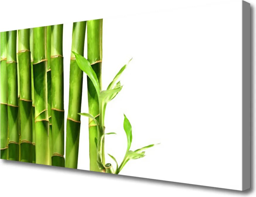 Zdjęcie na płótnie Egzotyczny Pęd Bambusa
