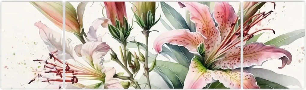Obraz - Lilie, ilustracje (170x50 cm)