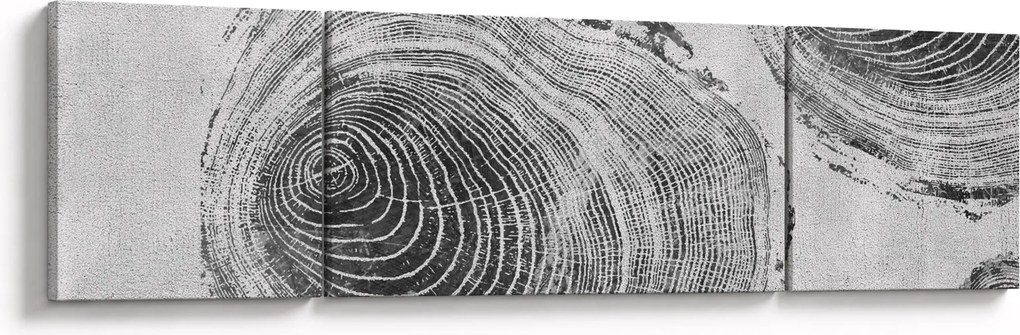 Obraz - Motyw drzewa (170x50 cm)