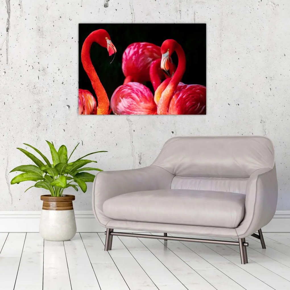 Obraz na szkle - czerwone flamingi (70x50 cm)