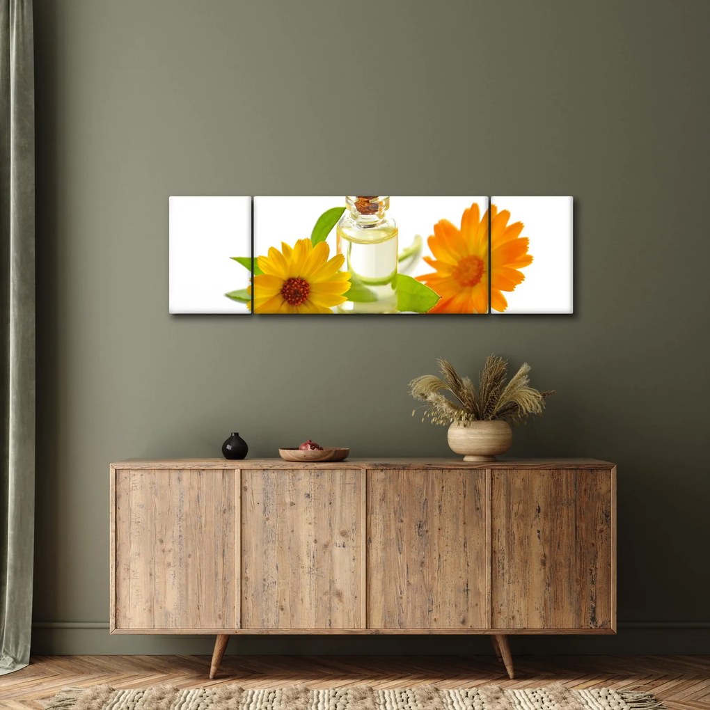 Obraz kwiatowego oleju (170x50 cm)