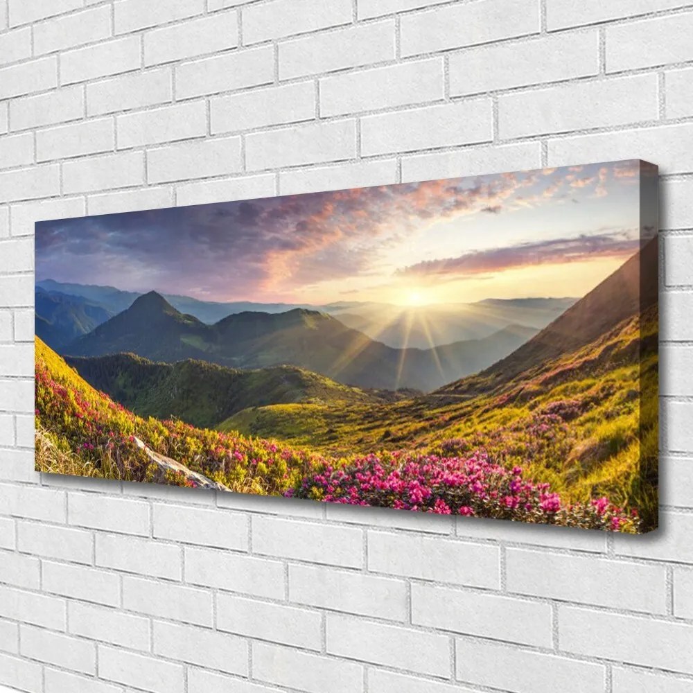 Obraz drukowany na płótnie Słoneczna Polana pod Szczytami