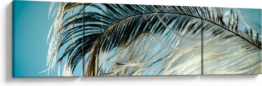 Obraz pióra (170x50 cm)
