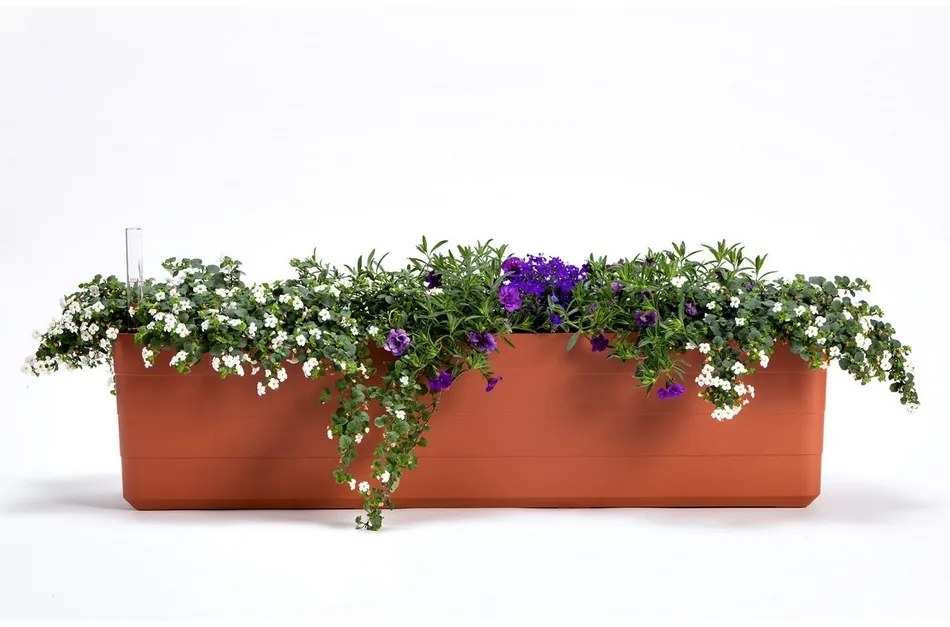 Plastia Skrzynka samonawadniająca Berberis 80, terakota + kość sł., 80 cm