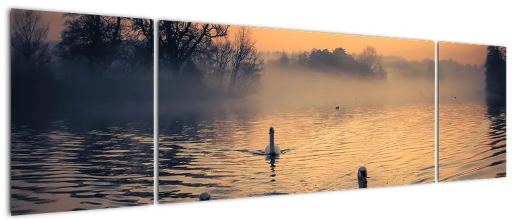 Obraz łabędzi na wodzie we mgle (170x50 cm)