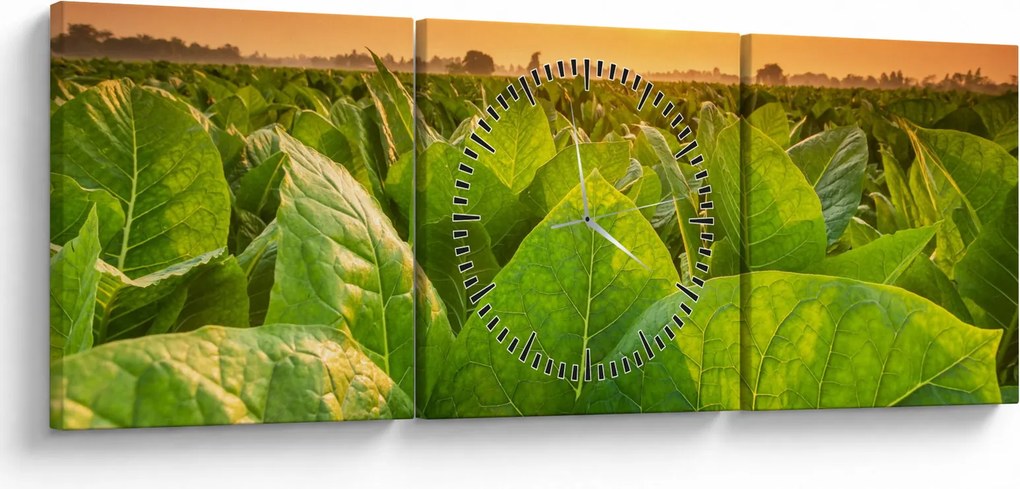 Obraz - Pole (z zegarem) (90x30 cm)