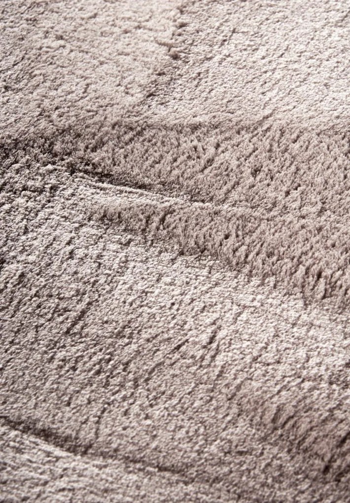 Dywan pluszowy Leon Villeroy &amp; Boch jasno szary 200 cm x 290 cm
