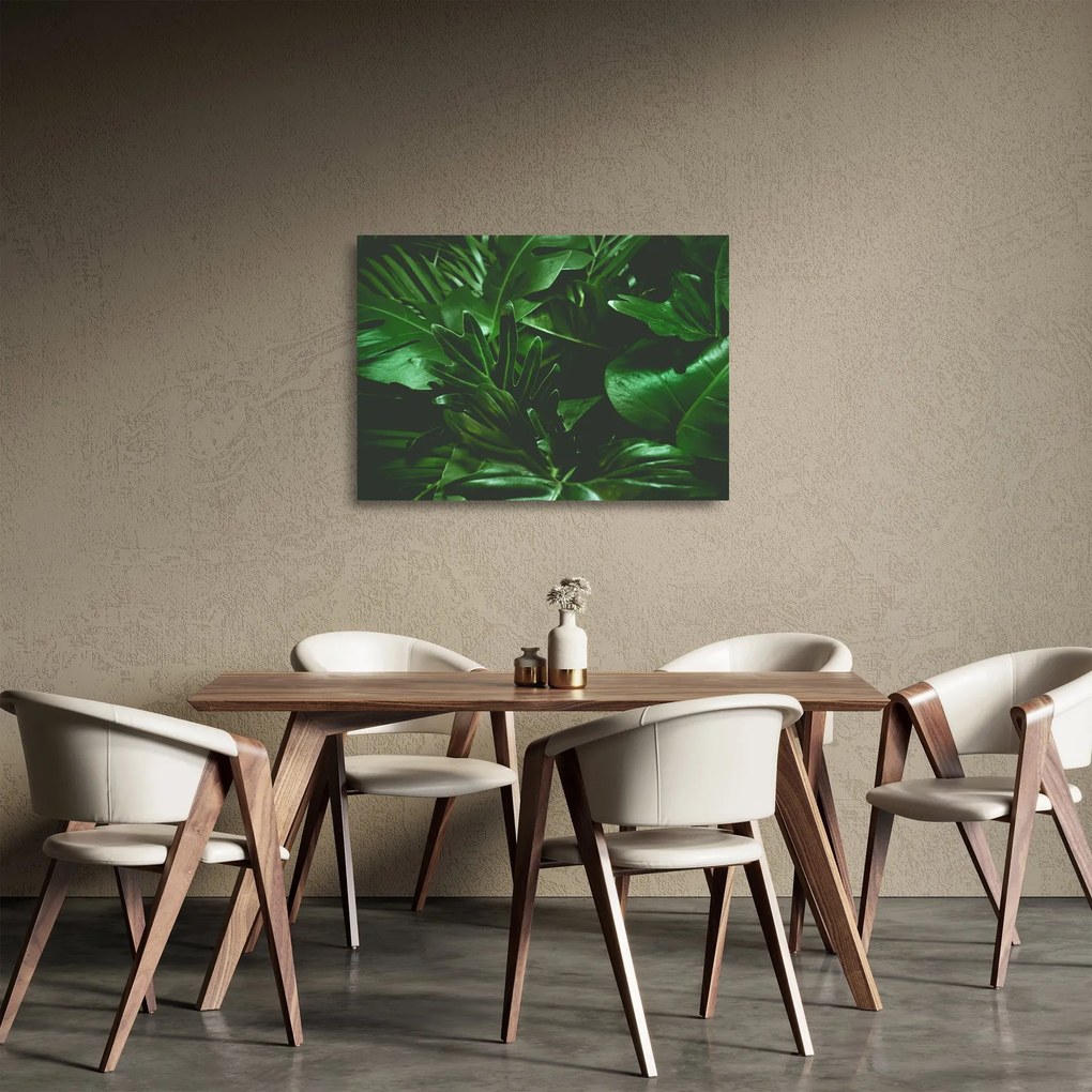 Obraz na szkle - Liście palmowe (70x50 cm)