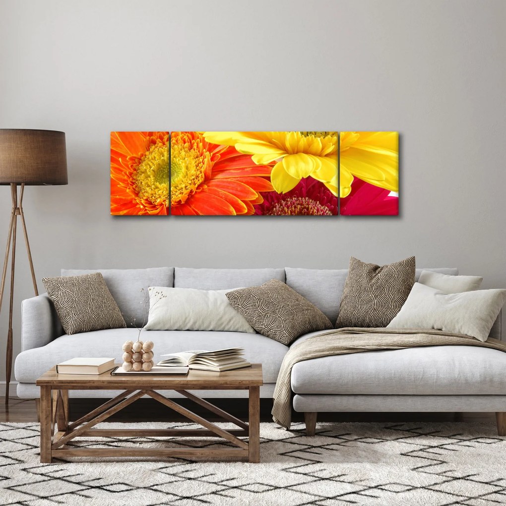 Obraz - Kwiaty Gerbery (170x50 cm)