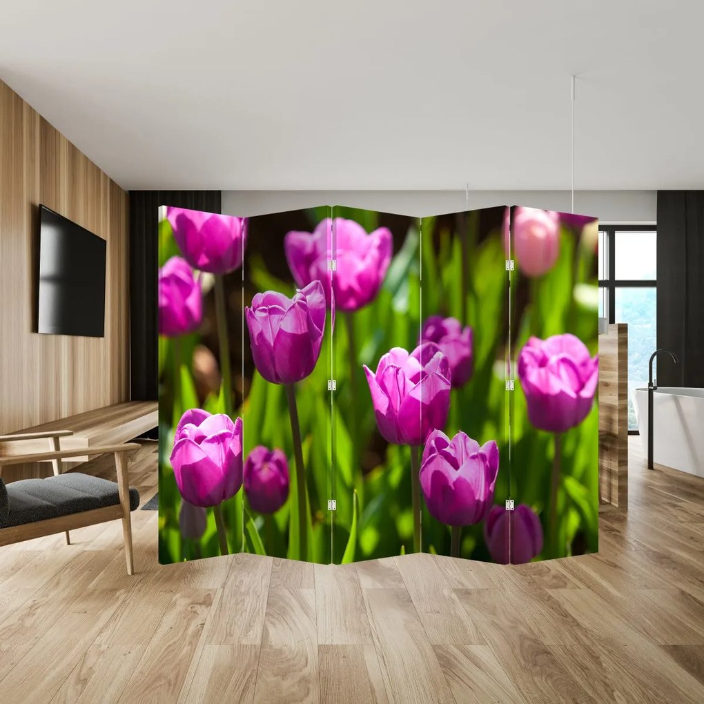 Parawan - Tulipany na łące (210x170 cm)