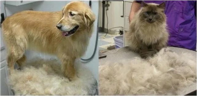 TRYMER GRZEBIEŃ SZCZOTKA CZESANIA KOTA PSA 4,5CM