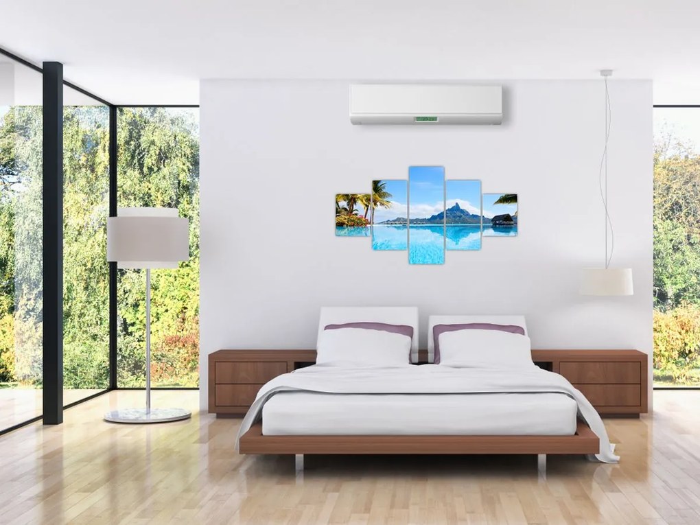 Obraz - Palmy i plaże (125x70 cm)