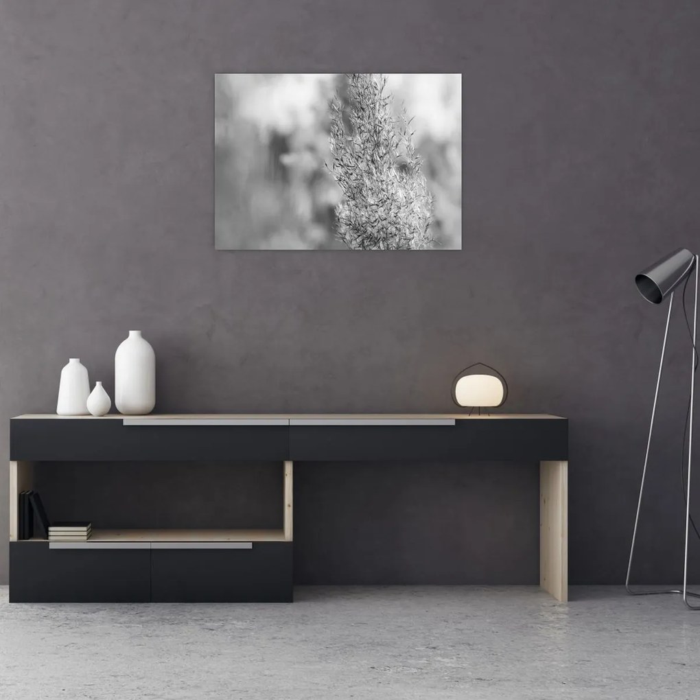 Obraz - Trawa pampasowa Boho (70x50 cm)