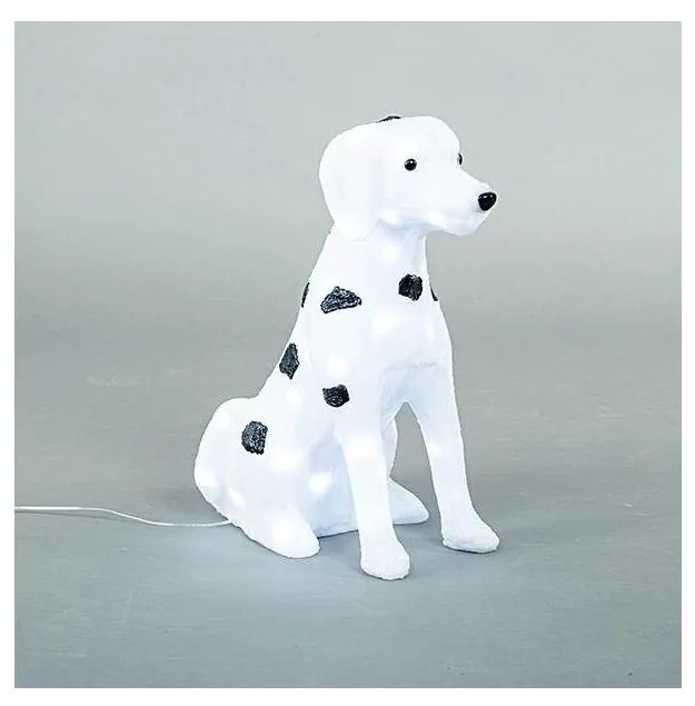 LED Dekoracja zewnętrzna LED/3,6W/230V IP44 zimna biała dalmatyńczyk