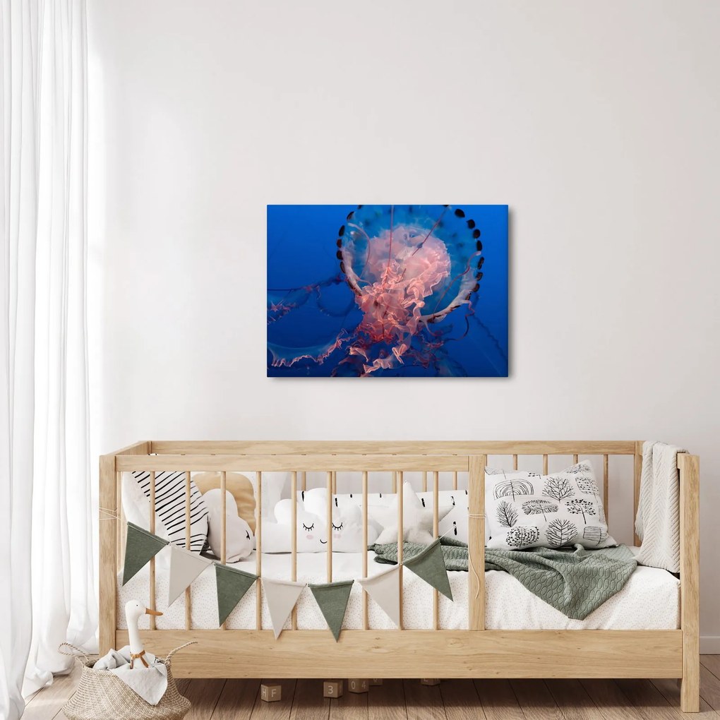 Obraz meduzy (70x50 cm)