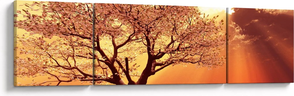 Obraz promieni Boga (170x50 cm)