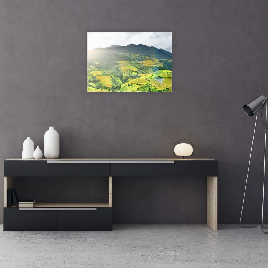Obraz plantacji (70x50 cm)