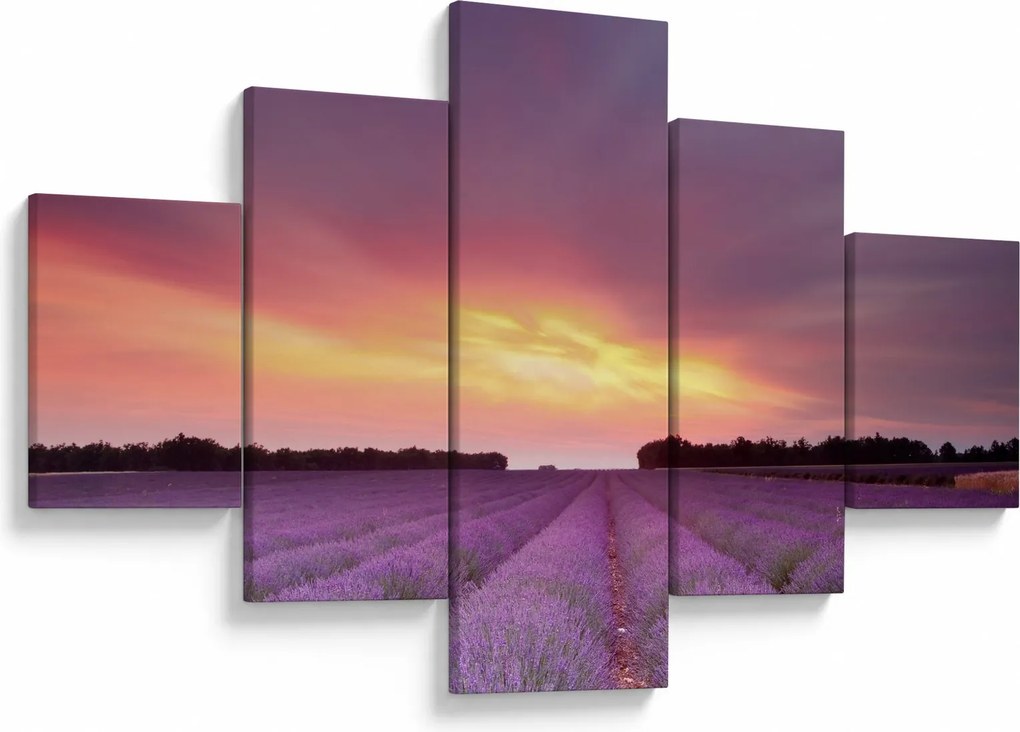 Obraz - Pole lawendy (125x70 cm)