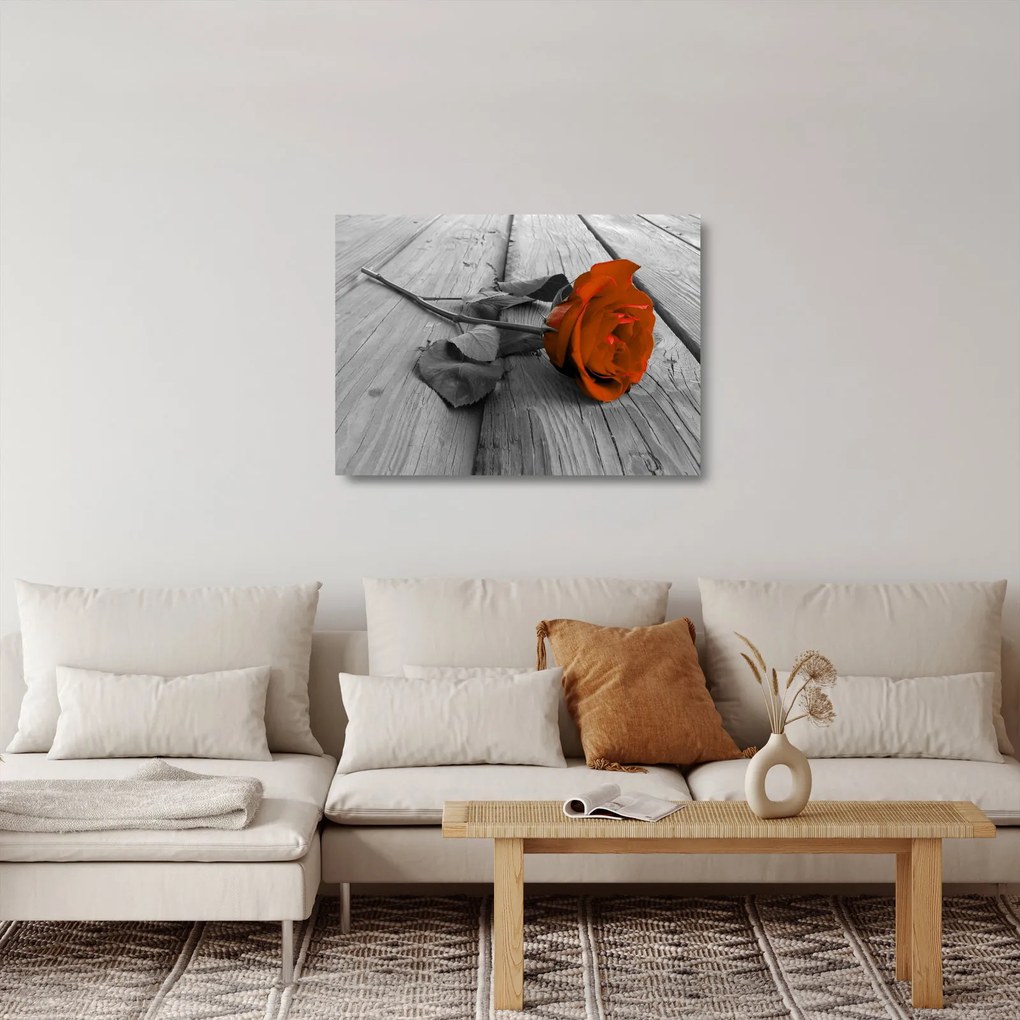 Obraz na szkle - Pomarańczowa róża (70x50 cm)
