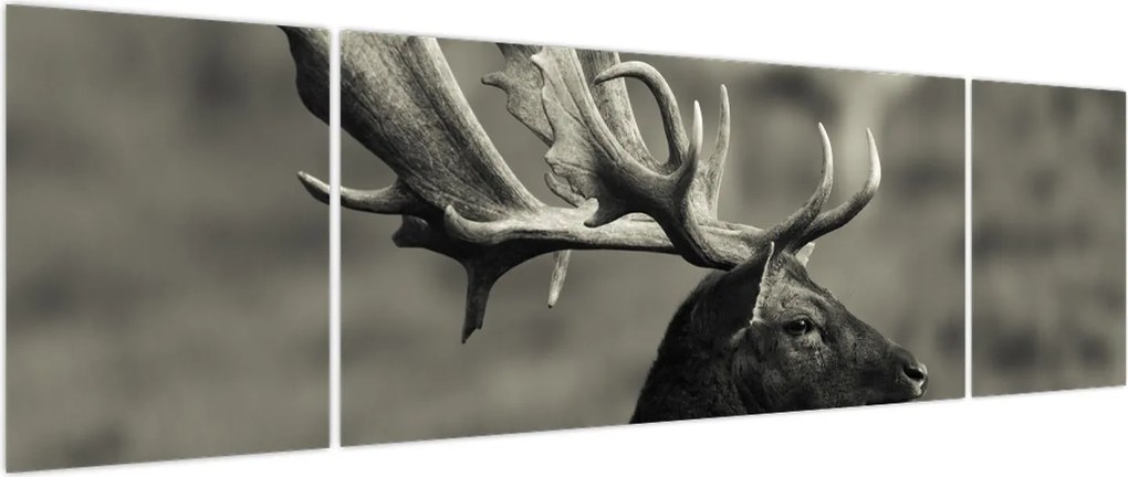 Obraz - Jeleń (170x50 cm)