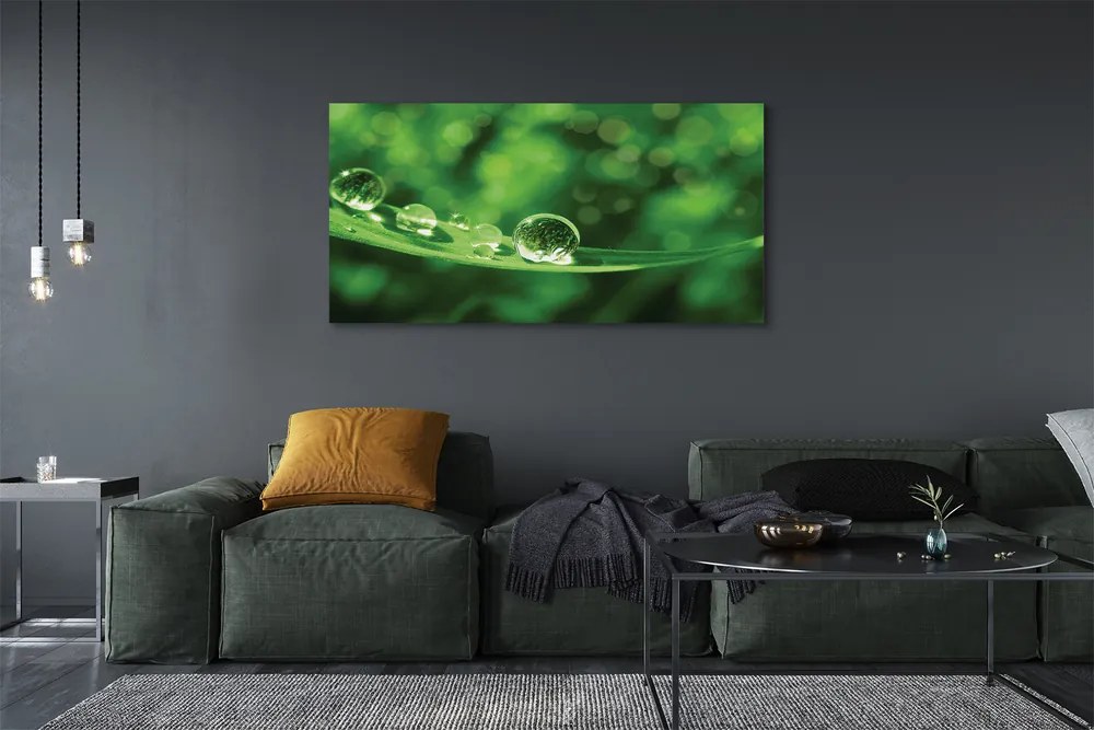 Obraz canvas na ścianę Zbliżenie na Krople Rosy