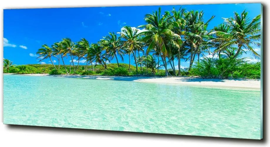 Foto obraz szklany Tropikalna plaża