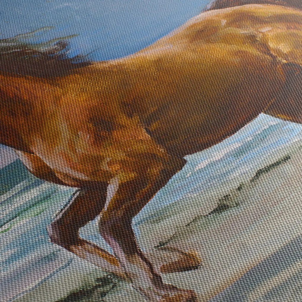 Obraz konia na plaży (70x50 cm)