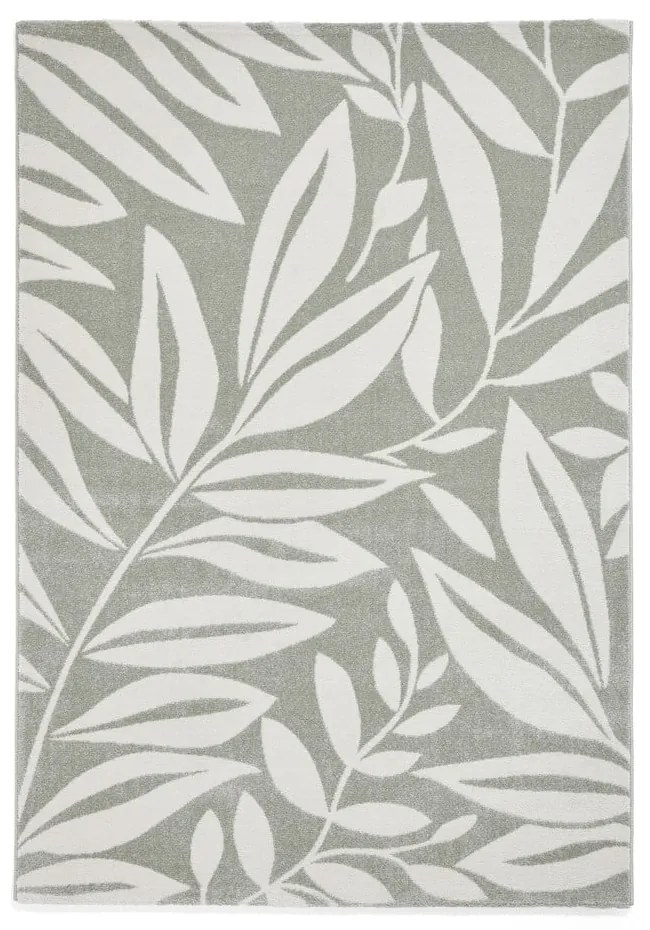 Jasnozielony dywan 120x170 cm Sorral Leaves – Catherine Lansfield