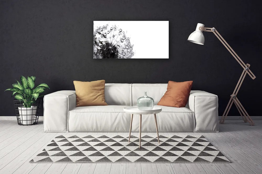 Obraz na płótnie Puszysty Mniszek Lekarski