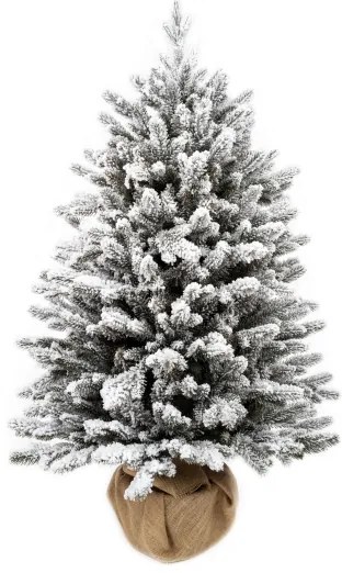 Choinka sztuczna w doniczce PE Świerk Królewski 80cm