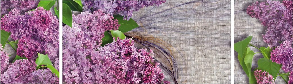Obraz - Bez (170x50 cm)