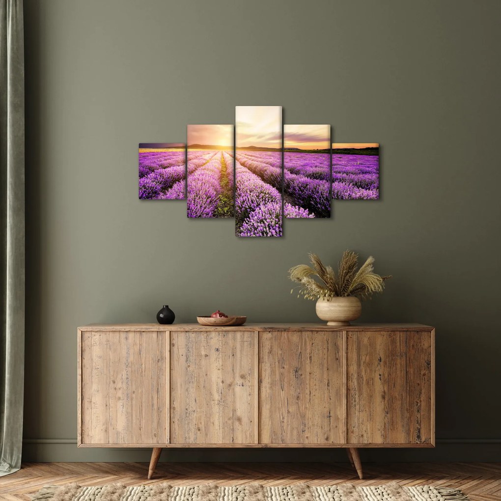 Obraz - Wschód słońca na polu lawendy (125x70 cm)