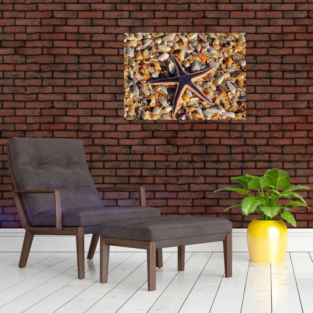 Obraz rozgwiazdy (70x50 cm)
