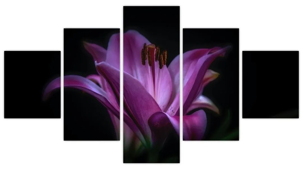 Obraz lilii (125x70 cm)