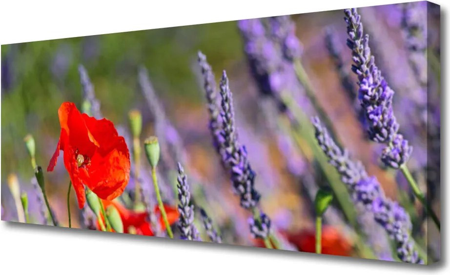 Obraz canvas na ścianę Dekoracyjny Motyw Roślinny