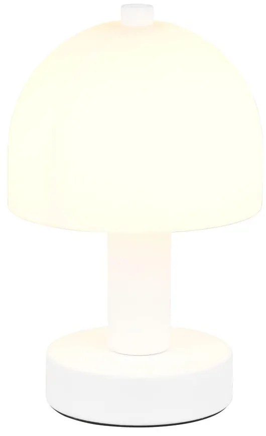 Biała lampa stołowa ze szklanym kloszem (wysokość 19 cm) Glenn – Trio