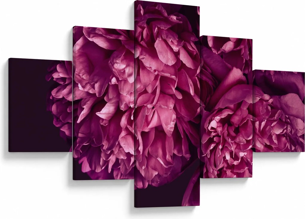 Obraz - Kwiaty piwonii (125x70 cm)
