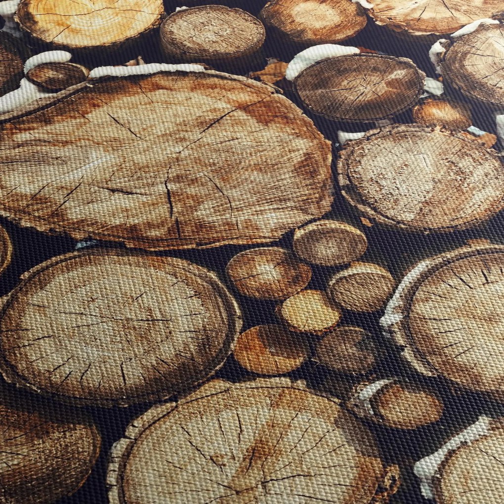Obraz - Drewno w śniegu (70x50 cm)