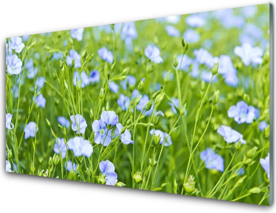 Panel Kuchenny Kwiaty W Polnej Trawie