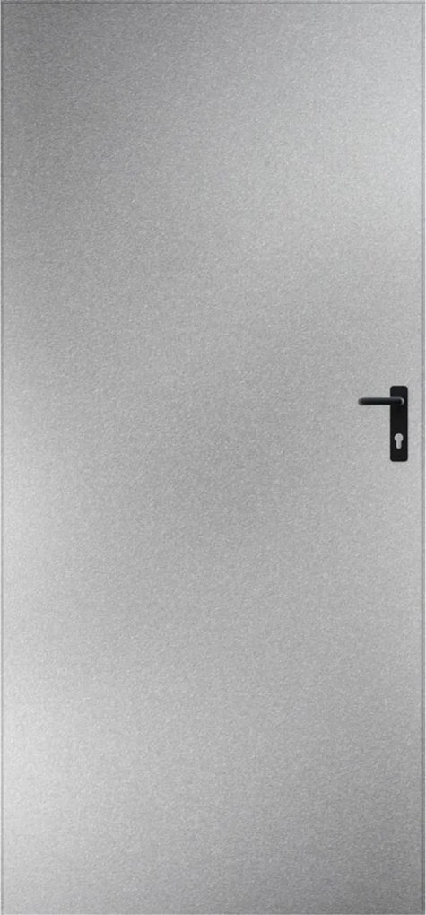 Drzwi blaszane 80, lewa, ocynkowana