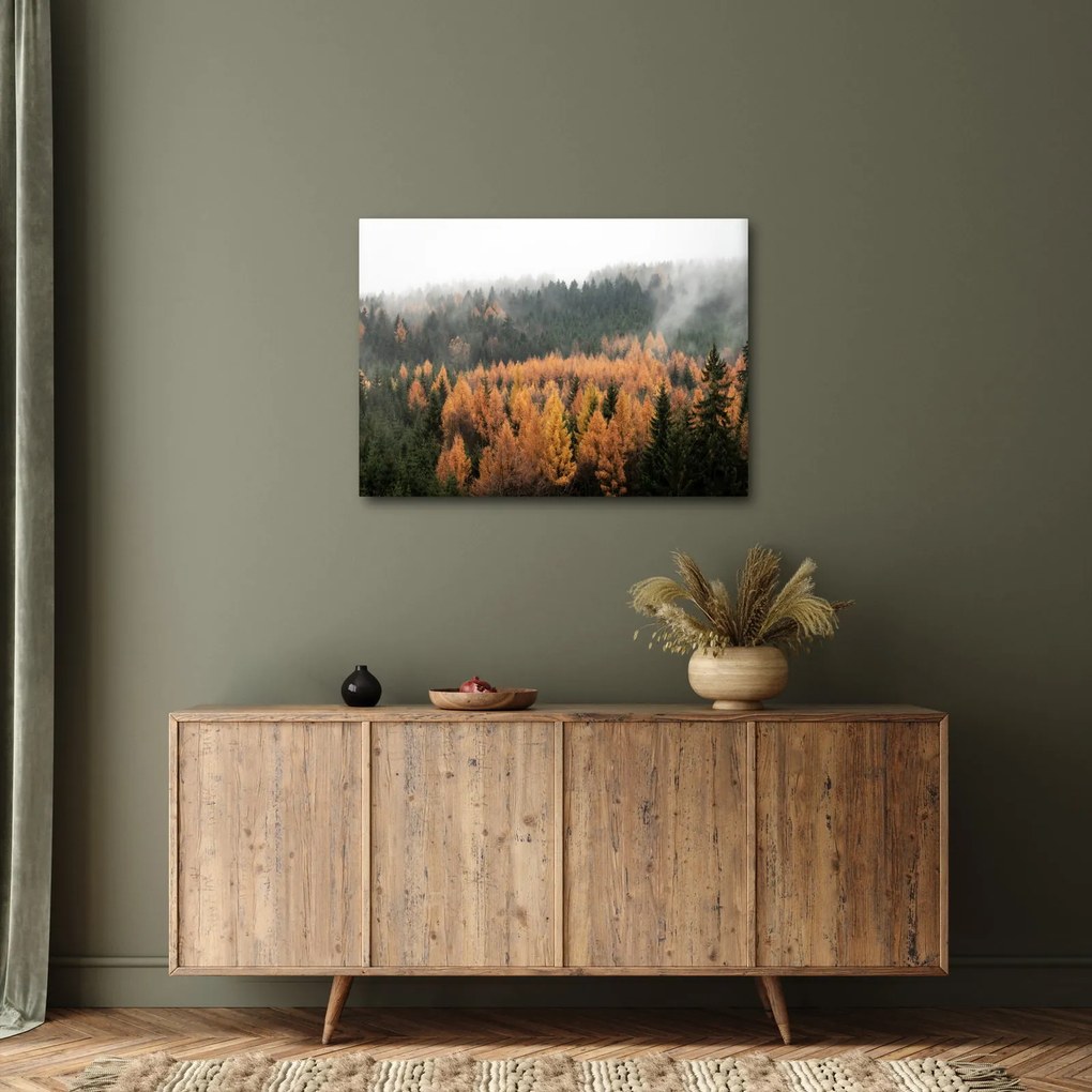 Obraz - Jesienny las (70x50 cm)