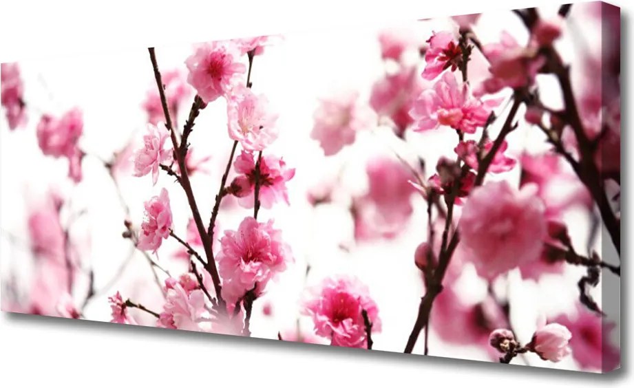Obraz na płótnie Kwitnące Gałązki o Poranku