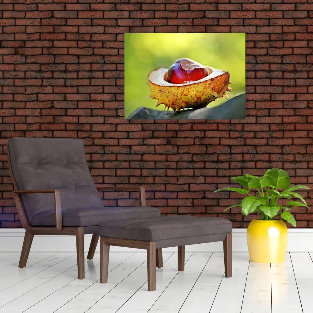 Obraz na szkle - kasztanowce (70x50 cm)
