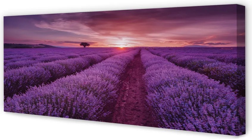 Obraz canvas na ścianę Pole Wrzosów