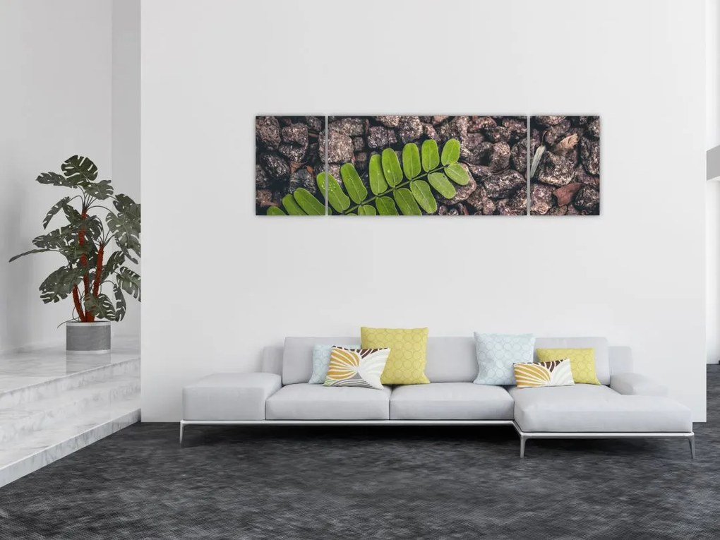 Obraz zielonej rośliny (170x50 cm)