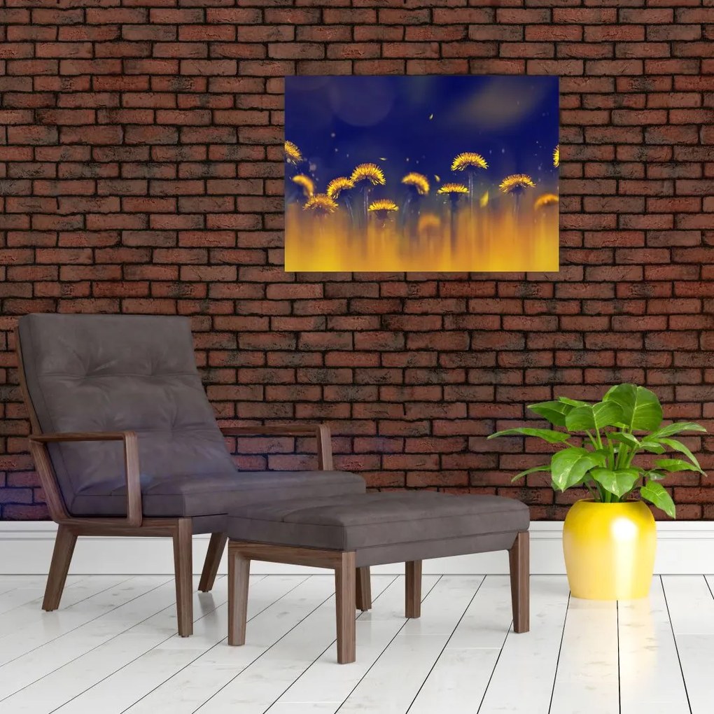 Obraz na szkle - Dmuchawce (70x50 cm)