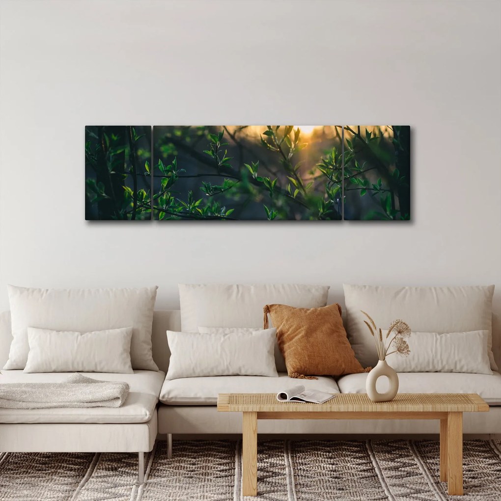 Obraz słońca przeświecającego przez gałęzie drzew (170x50 cm)