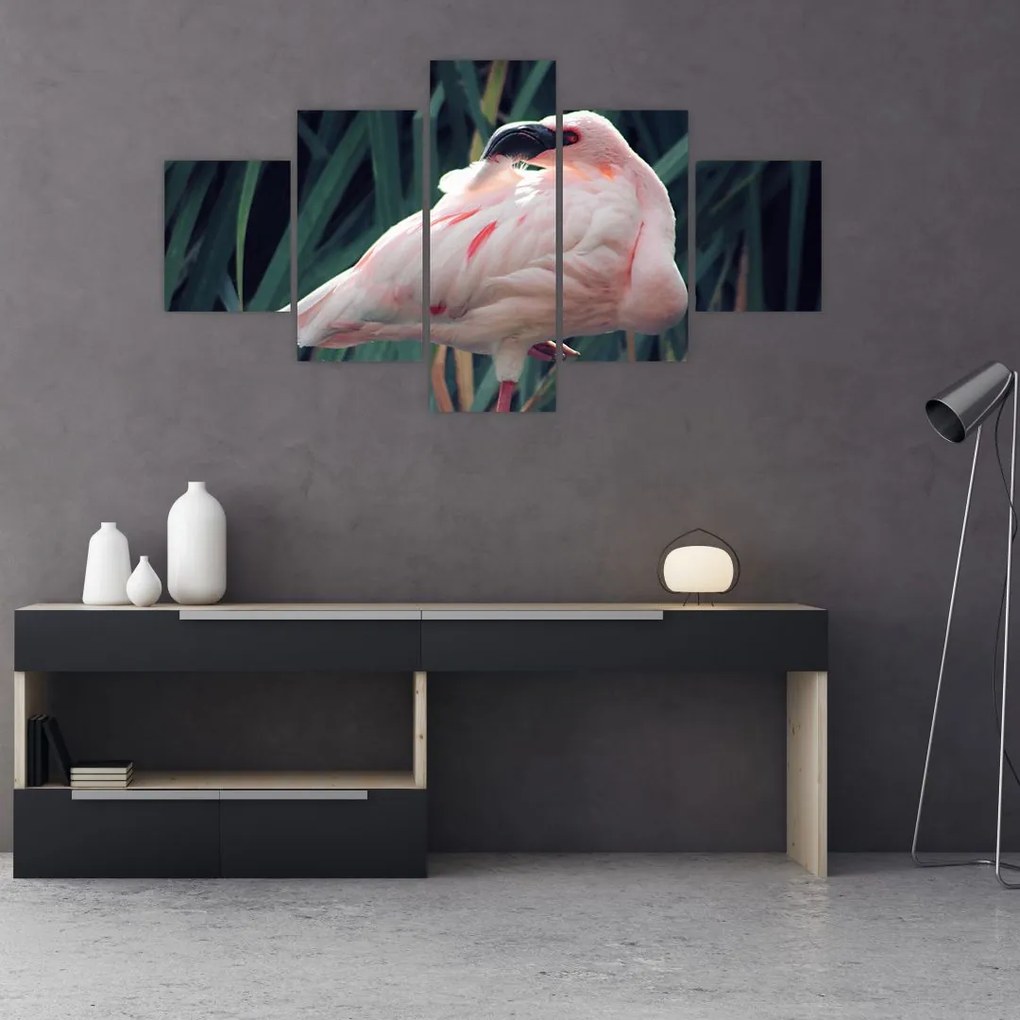 Obraz - Flaming (125x70 cm)