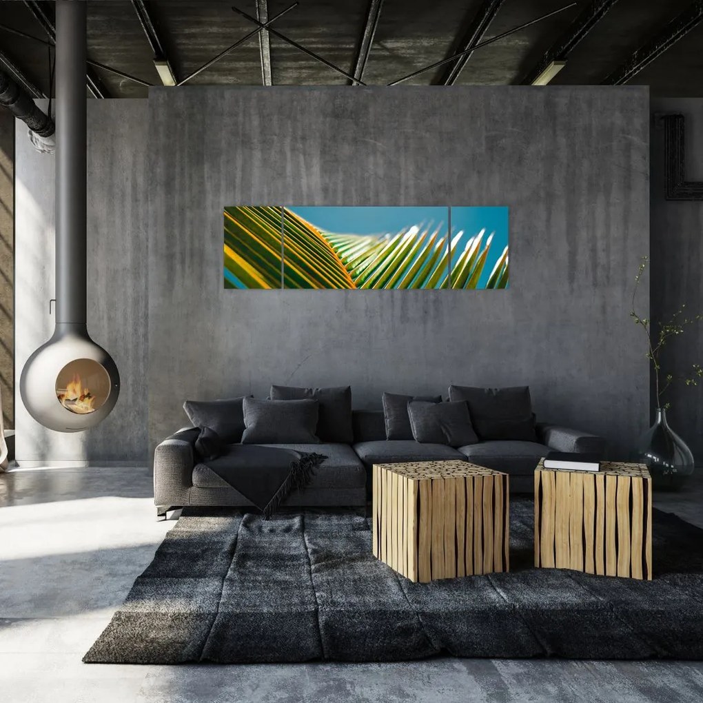 Obraz - Detal liścia palmowego (170x50 cm)